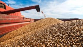 Российским производителям зерновых выделят 10 миллиардов рублей